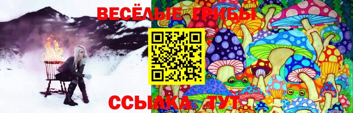Галлюциногенные грибы мицелий  Псилоцибиновые грибы Psilocybe  где найти   Вход с VPN  Златоуст 